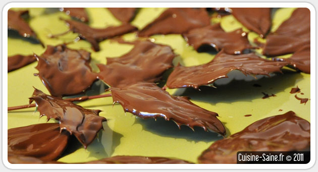 faire decoration buche