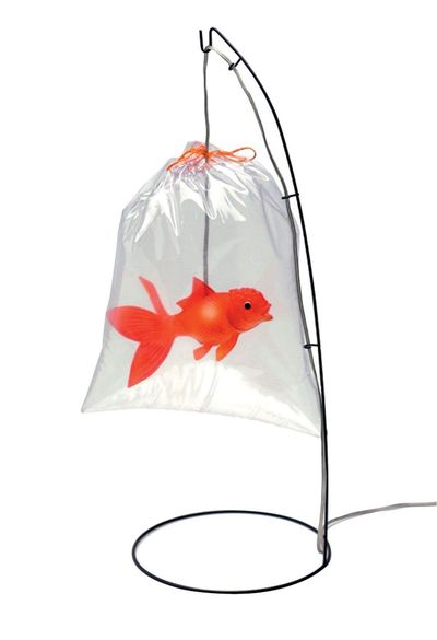 lampe halogene bebe