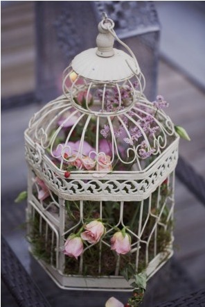 cage decorative pour oiseaux