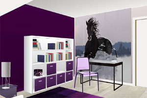 deco chambre ado fille cheval