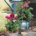deco jardin a faire soi meme