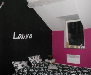decoration chambre rose fushia et noir