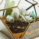 fabriquer deco pour terrarium