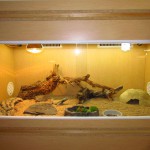 fabriquer deco pour terrarium