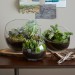 fabriquer deco pour terrarium