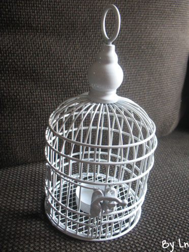petite cage oiseau decorative