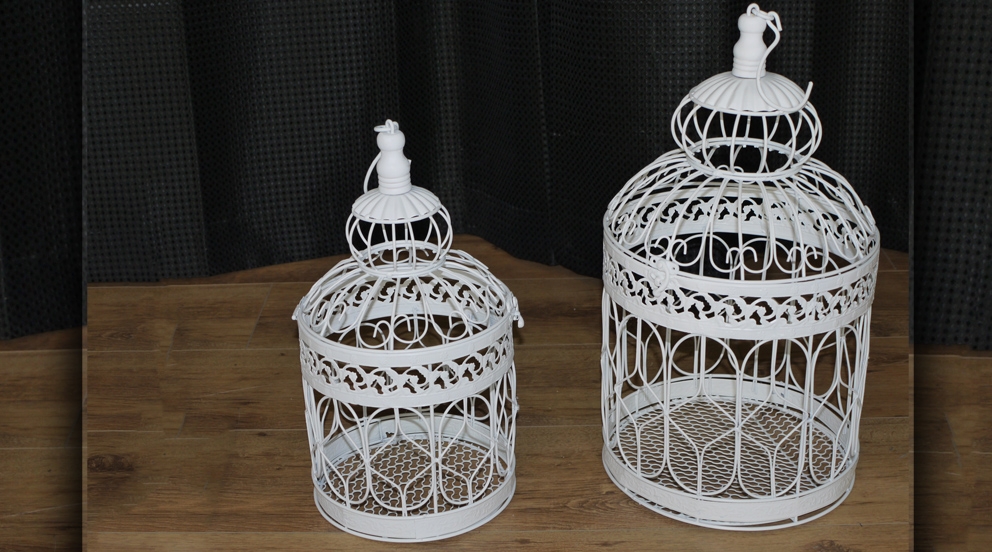 petite cage oiseau decorative