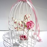petite cage oiseau decorative