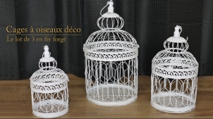 petite cage oiseau decorative