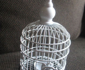petite cage oiseaux deco