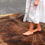 bureau d information petite enfance (bipe)