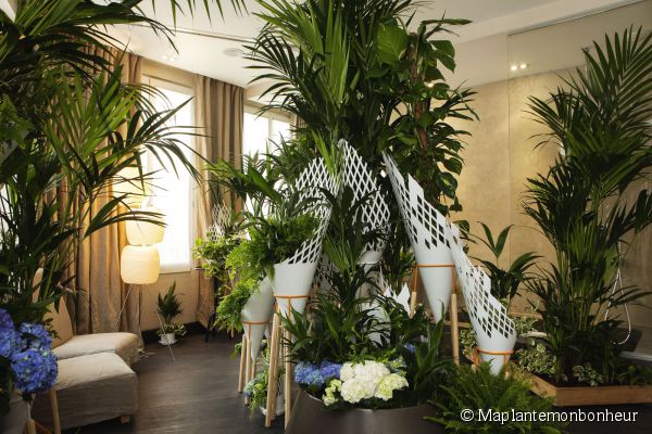 deco chambre tropicale