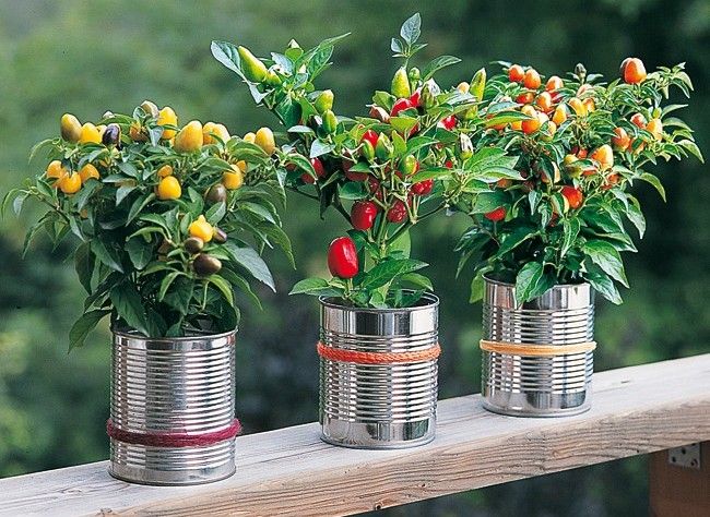 deco jardin faire soi meme