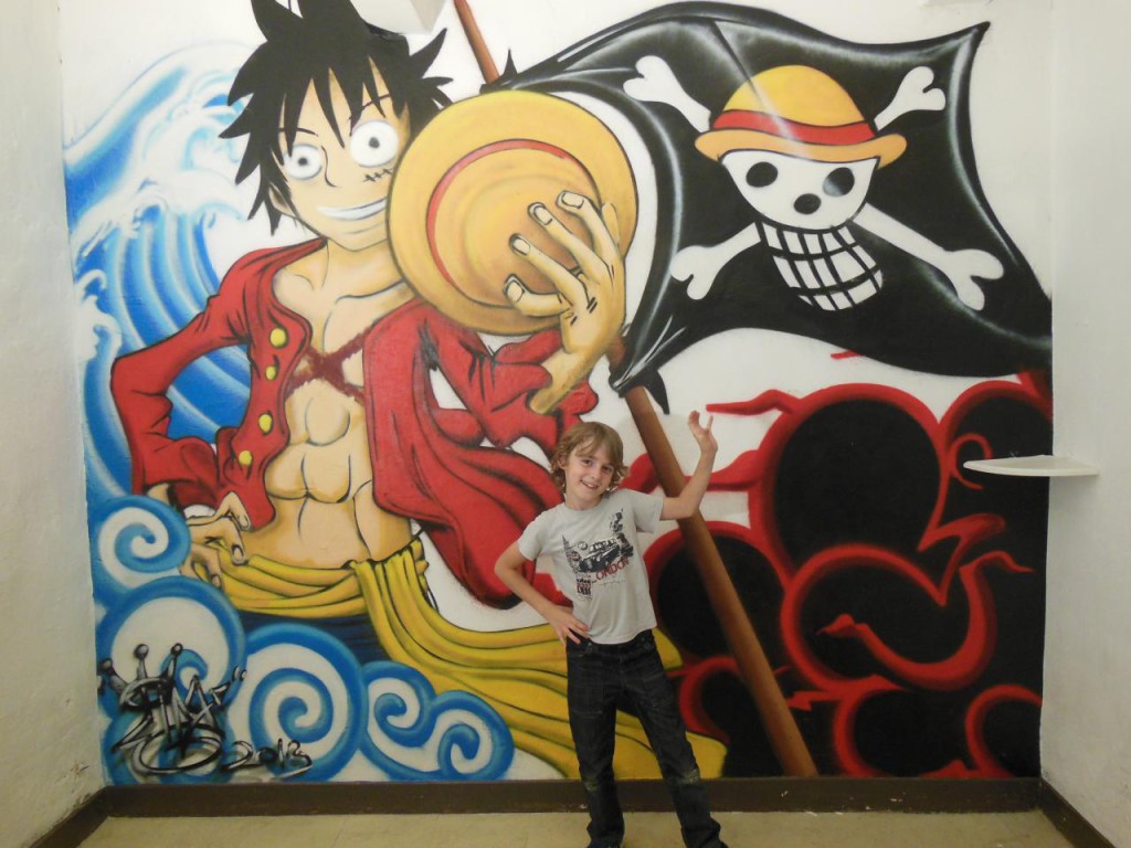 decoration chambre one piece