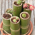 faire une decoration avec du bambou